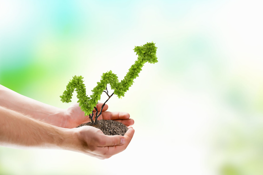 The ROI of a Diverse Work Environment