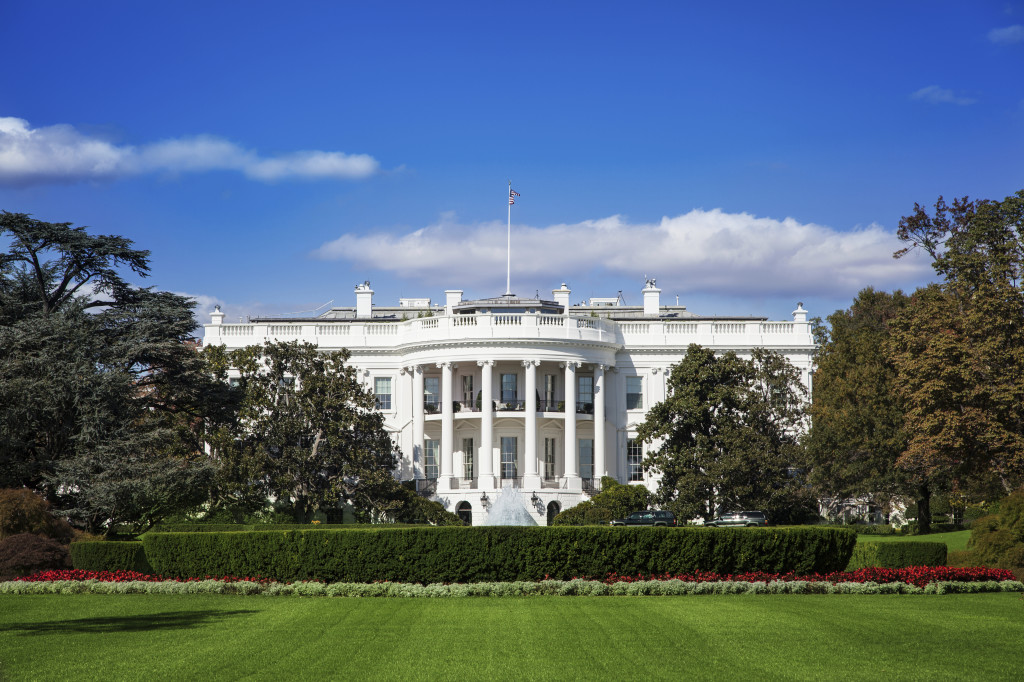 Democratic Debate Breakdown: How the Dems Could Affect Your Business Growth