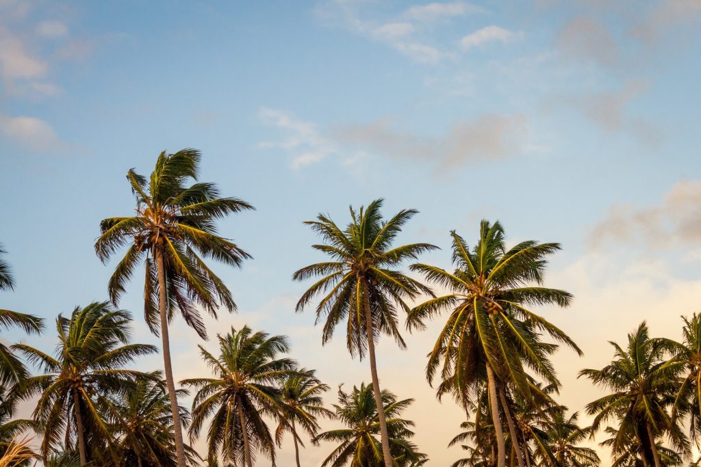 Here’s How to Beat the Post-Vacation Blues, and Come Back to Work Refreshed