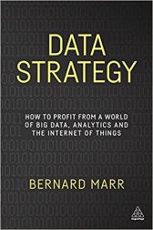 Data Strategy: How to Profit from a World of Big Data, Analytics and the Internet of Things