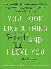 You Look Like a Thing and I Love You: How Artificial Intelligence Works and Why It's Making the World a Weirder Place