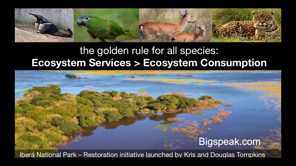 Tom Chi: Helping Humanity Become a Net Positive to Nature