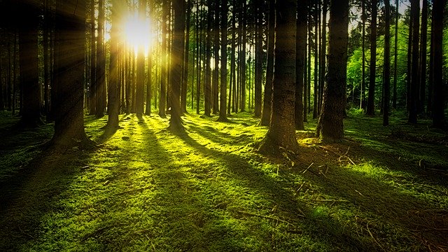 BigSpeak Is First U.S. Speakers Bureau to Launch Carbon Offset Program