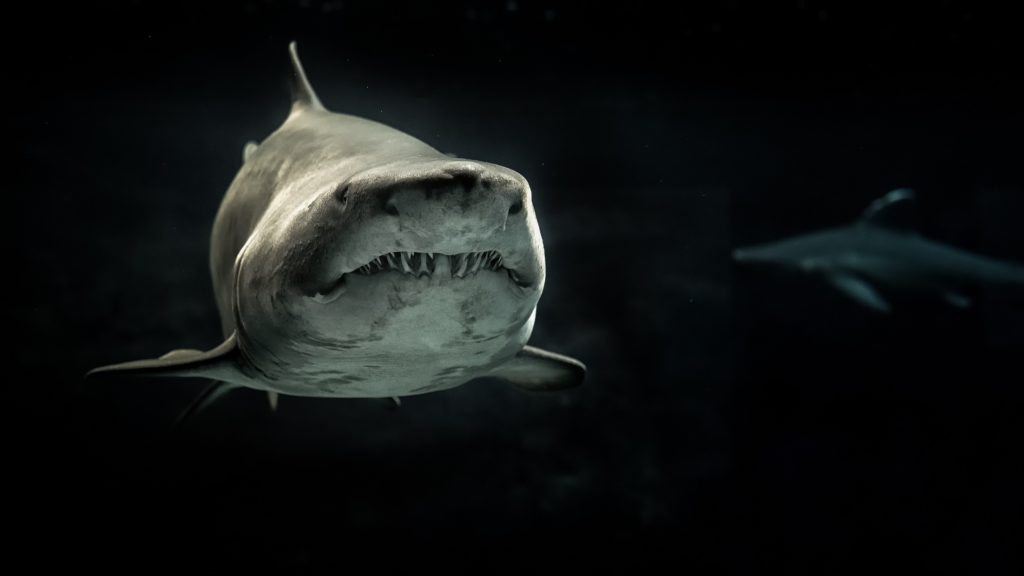 “Shark Tank” Returns for a Twelfth Season With Kevin O’Leary and Special Guests