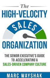 The High-Velocity Sales Organization: The Senior Executive’s Guide to Accelerating a Sales-Driven Company Culture