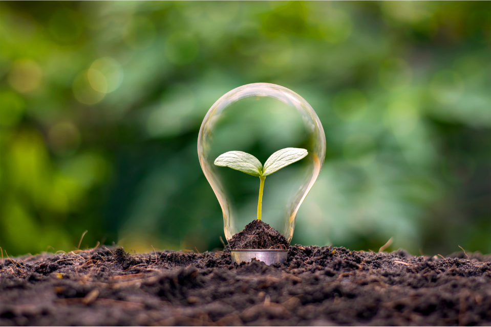 Top 10 Innovation Speakers of the Year
