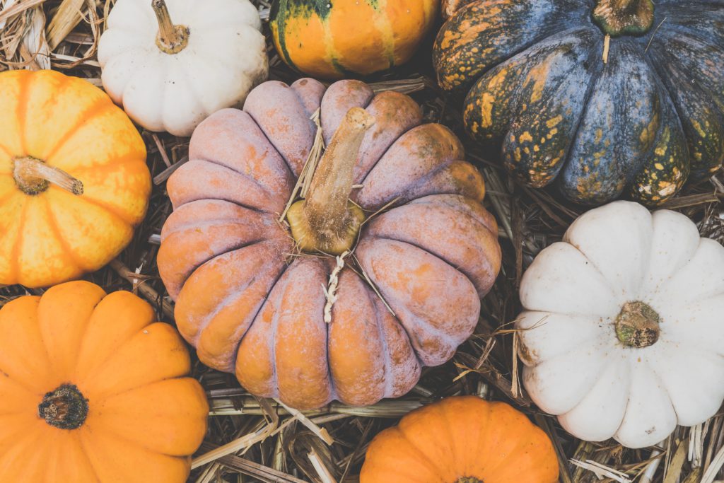 Spooky and Fun Halloween Rituals with the BigSpeak Team