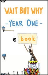 Wait But Why Year One: We finally figured out how to put a blog onto an e-reader