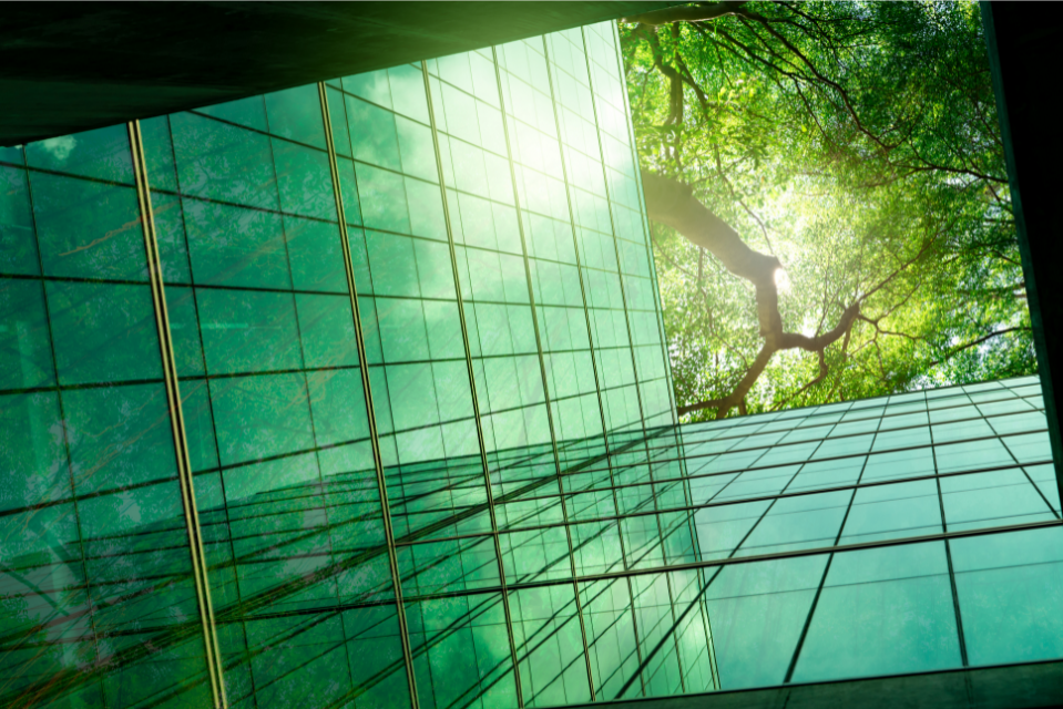 How can YOU help the environment at your next meeting?