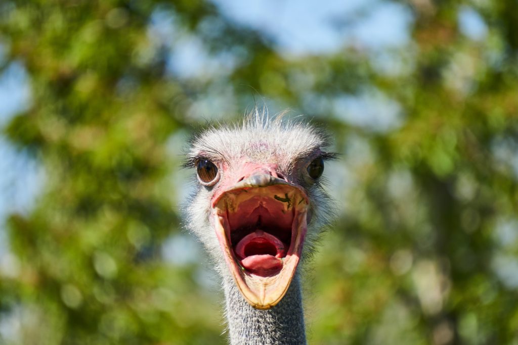 Top 10 Comedian Keynote Speakers That Delight and Motivate