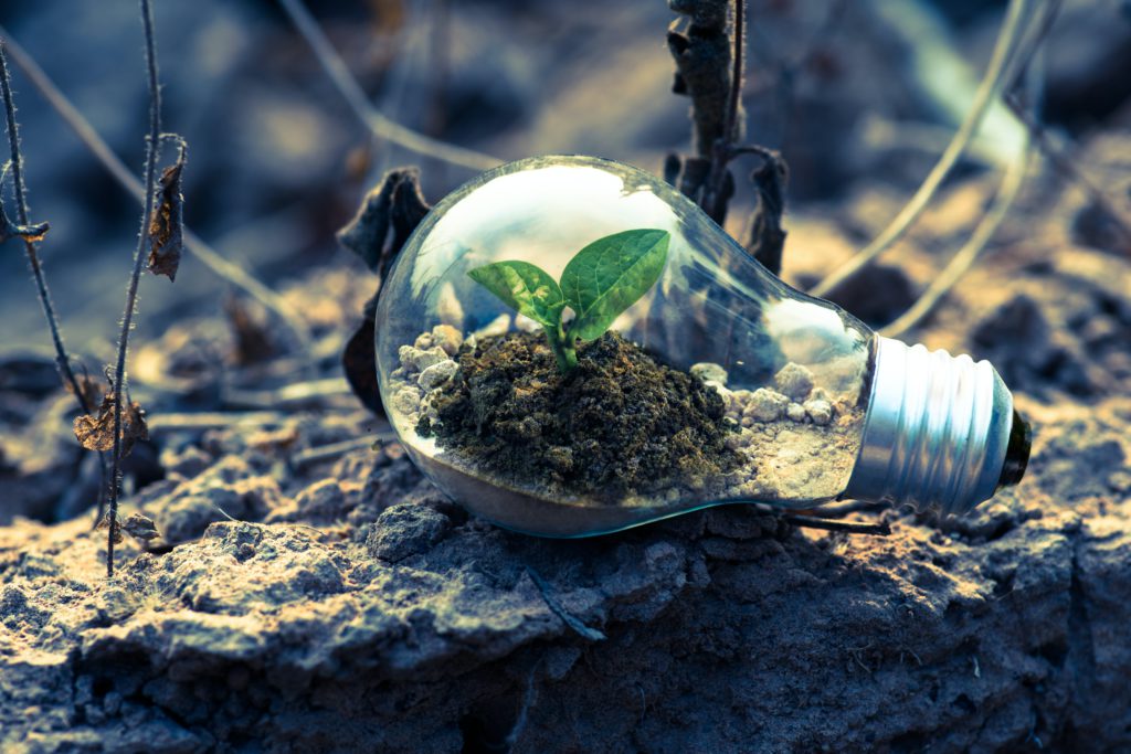 Cultivate Enthusiasm and Embrace Change with Speaker and Creator Cassandra Worthy