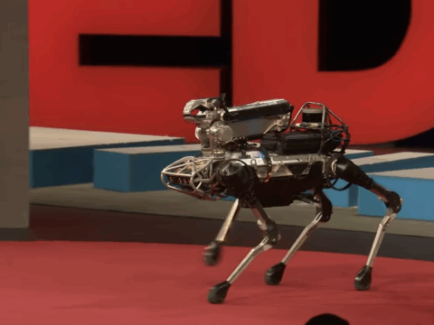 Meet Spot, the robot dog that can run, hop and open doors | Marc Raibert | TED